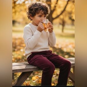 NWT- Janie and Jack Italian Velvet Pants